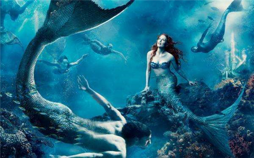 儒艮|1975年,中国海域抓到的那只真不是美人鱼吗?它究竟是什么物种?