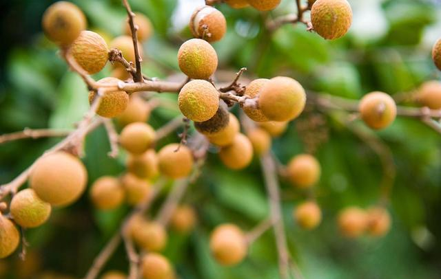 子宫肌瘤|有这4种症状的女生,可能是子宫肌瘤在慢慢“长大”,别置之不理