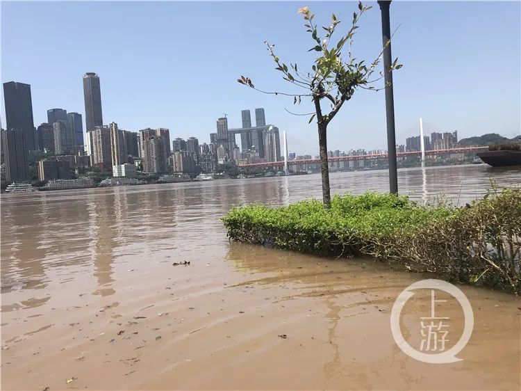 重庆晚报|直击洪峰过境，重庆朝天门码头被淹没