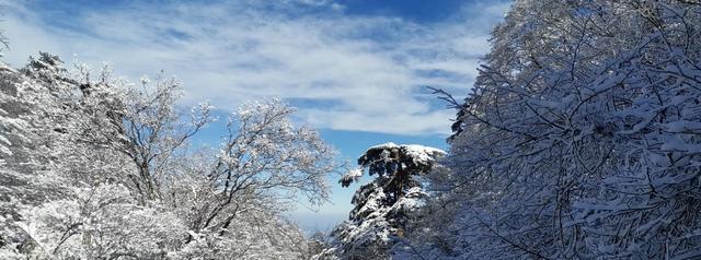 陈鹏历史杂谈 震撼！雪后，网友去安徽黄山拍摄的图片