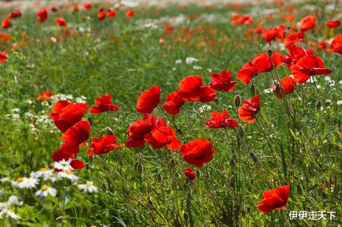 天蝎座|一旦动了感情，即使分开了，也不会忘记三个星座