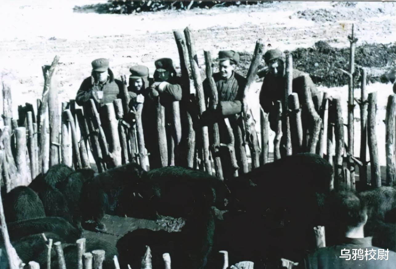 电影|我为什么给管导推荐《高山下的花环》？