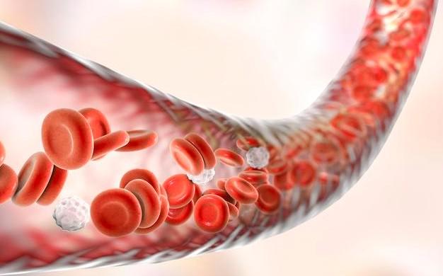 #胆固醇#血液黏稠的人，头部会有4个表现，若没有，说明血管还不算太堵