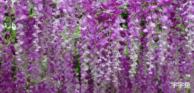 运势|9月7号、8号和9号起财神登门报喜，大财小财不断，喜迎百万横财！