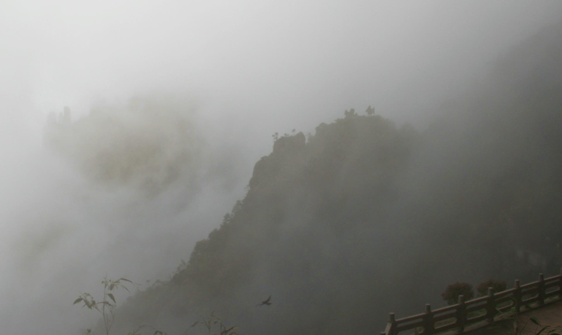 「三清山」这座道教名山，雾气萦绕恍如仙境，是中国最美的五大峰林之一