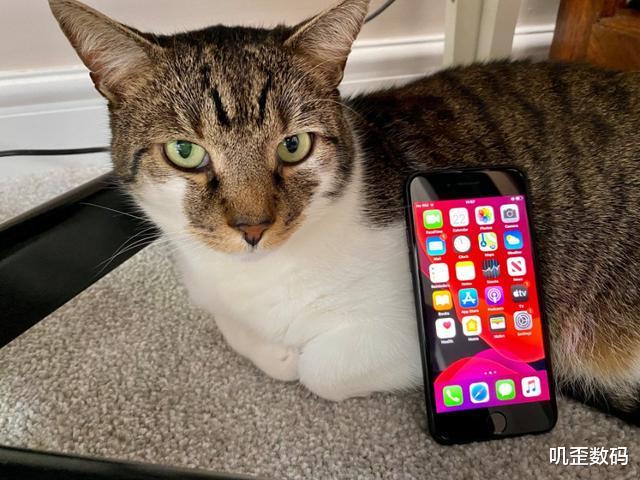 #苹果#iPhone SE2沦为“廉价机”，真机上手体验，4个优势2大缺陷