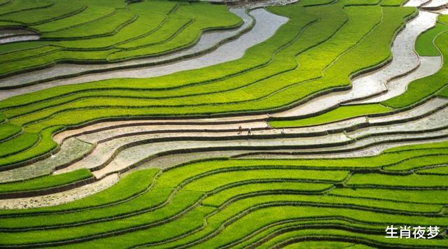 『生肖』明天过后,一马平川,3生肖心想事成,喜事多多,生活喜笑颜开