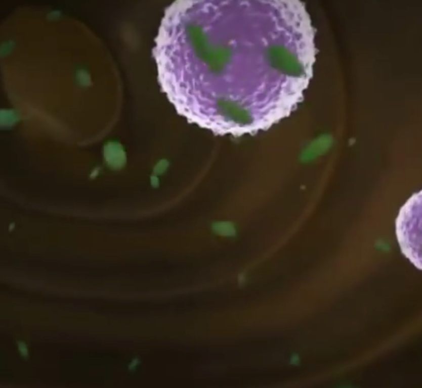 陨石|在冰中发现的神秘物体，你知道它们是什么吗，你对哪个影响深刻呢