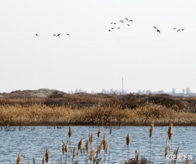 水库|亚洲最大沙漠水库：我国耗时40年建造而成，1年不到却尝到恶果