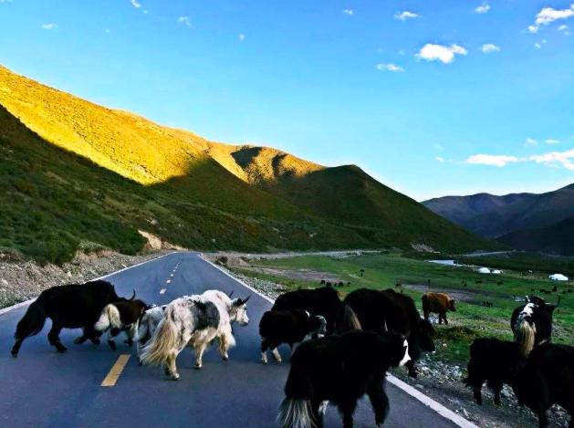 川藏公路|川藏线三大不真实的报道,网上说的,并不可信