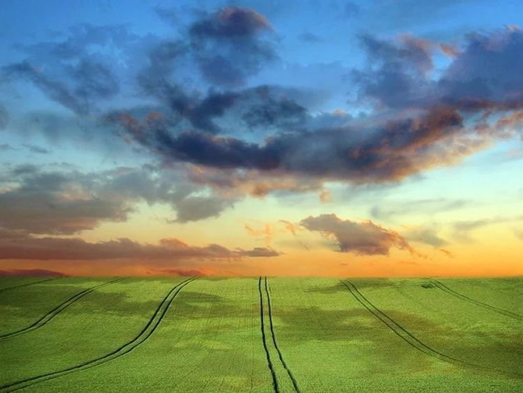 旧爱|9月事业如鱼得水，工作顺心如意，财运一飞冲天的四生肖