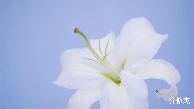 生肖▲7月初期,天生多情,异性缘好到爆!最容易欠下感情债的4大生肖