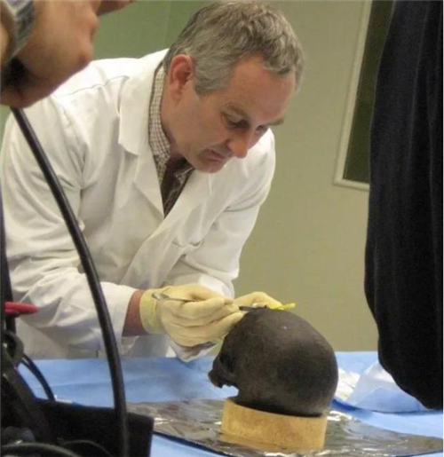 『蛋白质』英国发现一颗“活着的大脑”，来自2600年前，里面藏着什么秘密？