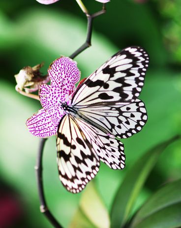 []7月5日开始，4属相得贵人喜欢，喜事接二连三，迎接幸福生活