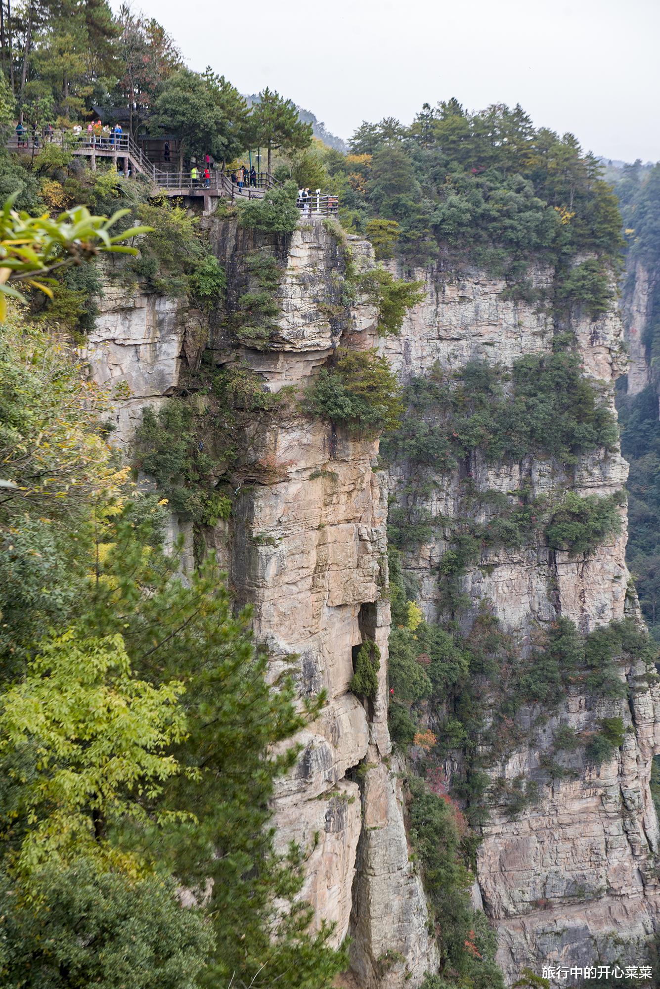 张家界|中国被游客误解最深的景区，以为遍地是坑，其实让人感觉很温暖