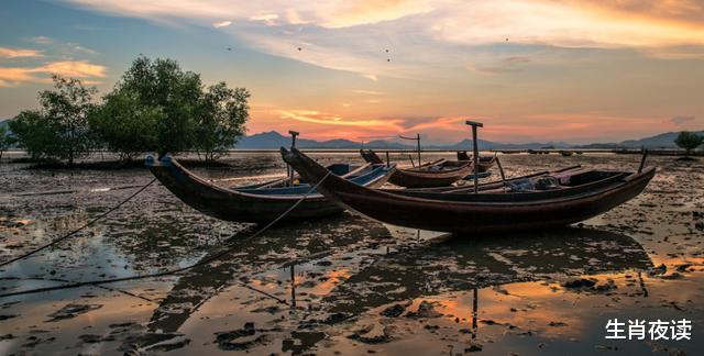 生肖|11月，前任回头，被爱包围，3生肖甜蜜幸福，相依相偎，余生不再分开