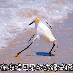 江苏省|气温跌到-1℃！江苏要下雪了！