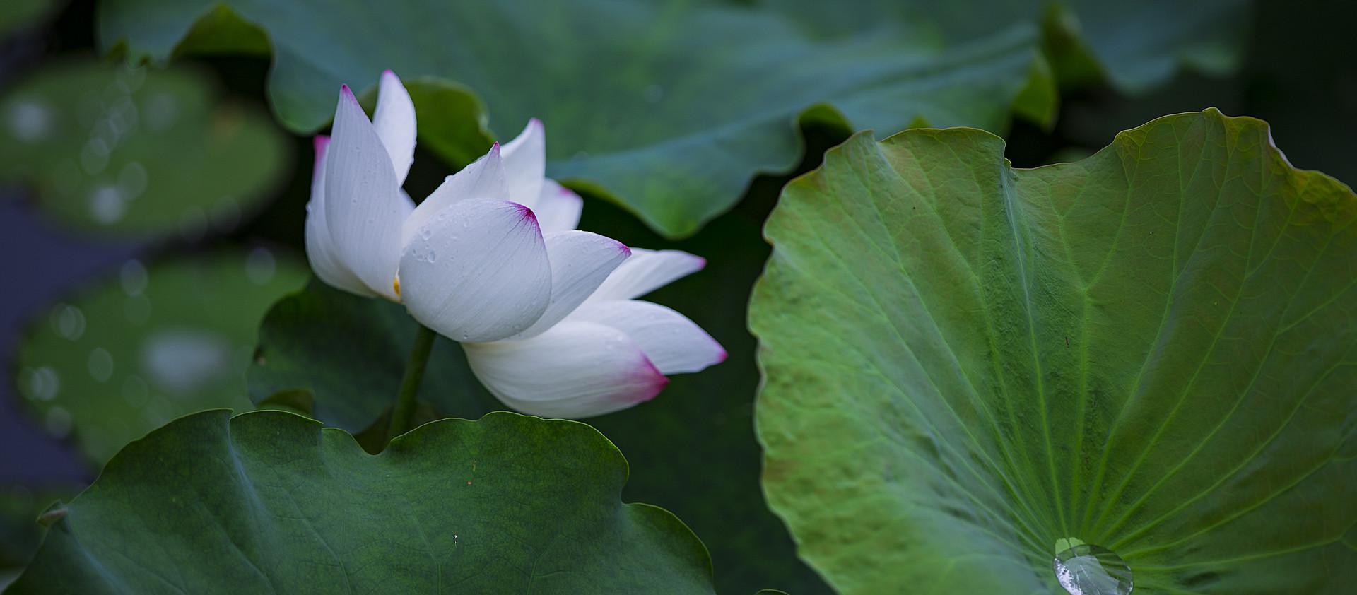 異性相處，女生“默許”這些事，相當於在說：喜歡你-圖5