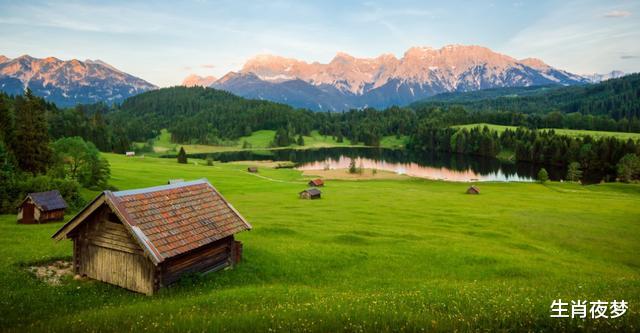 生肖：5月，始于心动，陷于温柔，3生肖等旧情人回头，从一而终续前缘