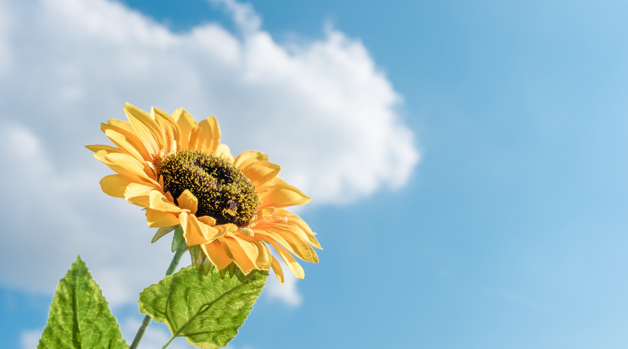 健康运势|8月逢8发，赚得盘满钵满，3属相贵人登门，福禄双收