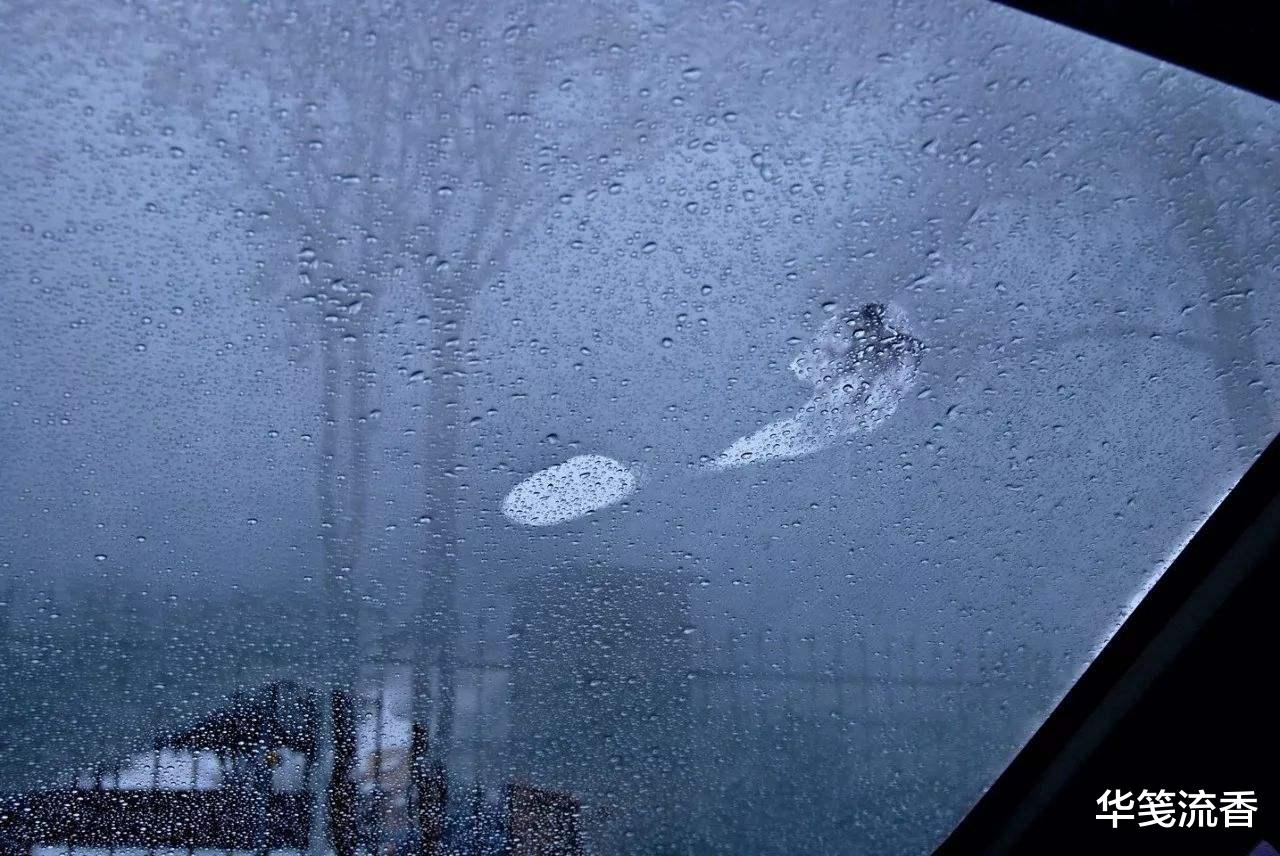 毒蛇|民间说法:凡毒蛇出没之处,7步之内必有解药。是否有科学依据