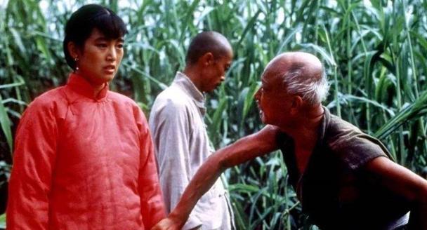 中國第一部提名奧斯卡獎的電影，出口13個國傢，中國卻禁播多年-圖2