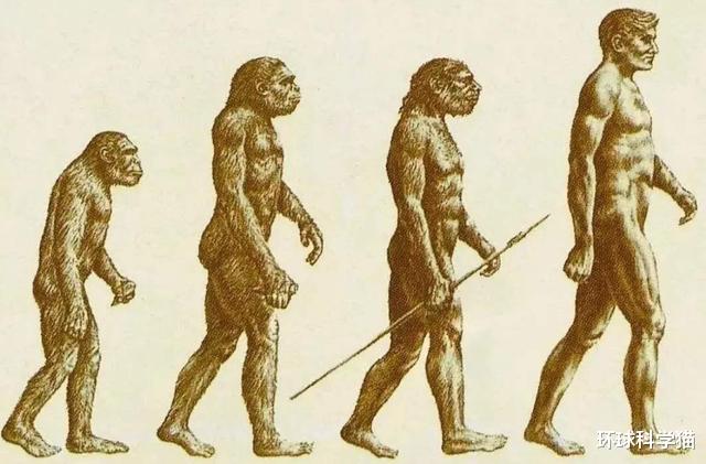 科学家|人类进化没有停?科学家或发现“此前未知”的器官,隐藏很好