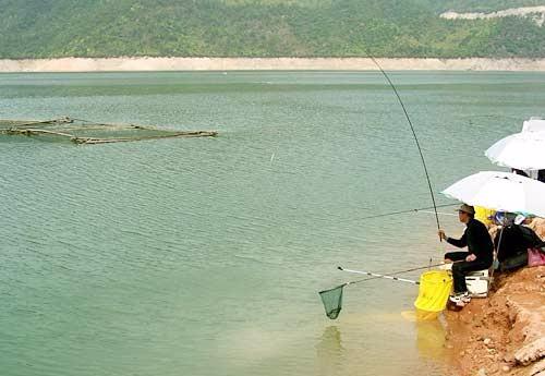 捕鱼|禁渔令仅限娱乐性垂钓，一人一竿一线一钩，那么台钓会被禁止吗？