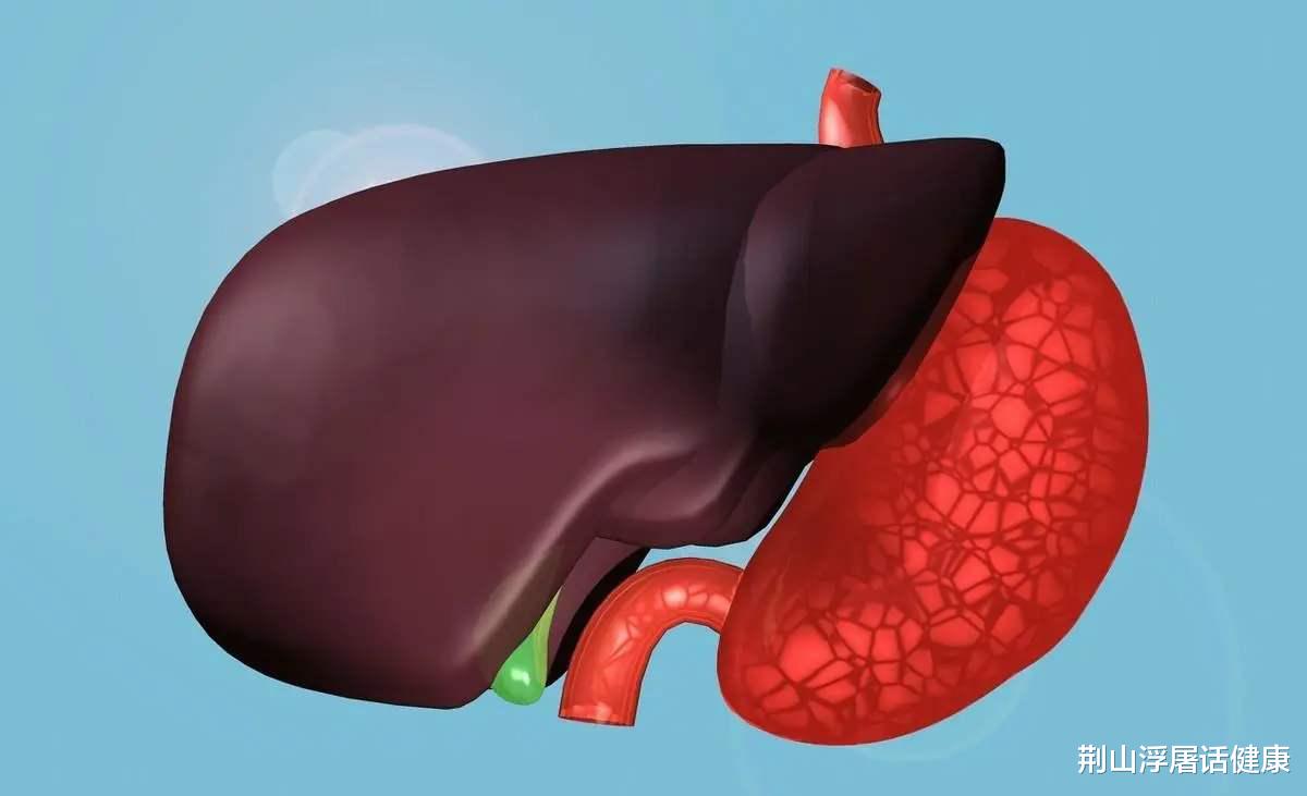 肝脏|肝病的“天敌”找到了，不是大蒜，每天敞开喝，肝脏悄悄变干净
