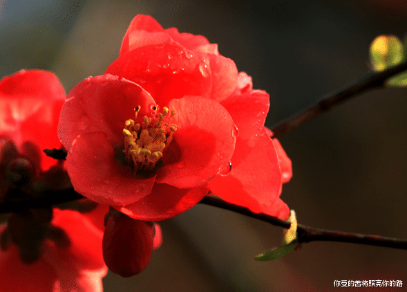 吉星|进入8月抽得上上签，4属相吉星降临，紫气东来，生活越来越好