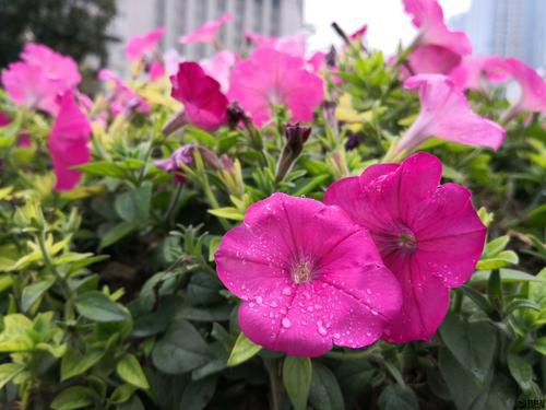 射手座|被好运眷顾的几大星座，事业一飞冲天，下半年日子越过越富裕