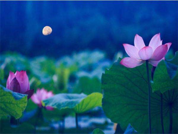生肖|恭喜！农历10月，贵人多财运旺，财旺运气旺，昌荣兴旺的生肖