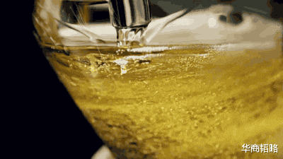 百威英博|大鱼吃大鱼，五大巨头或掀中国啤酒史上最大的战争