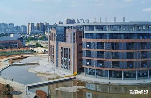 数学|同样是专科，“职业学院”和“专科学院”有啥区别？存在5点差异