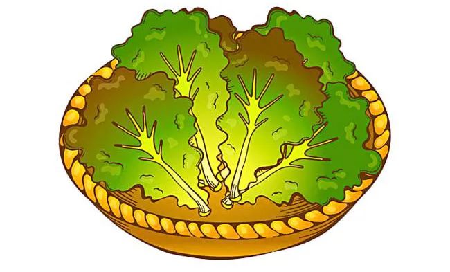 浦东发布 蔬果盖“棉被” 大棚穿“棉衣”!寒潮来袭,浦东田间地头这样防寒保暖