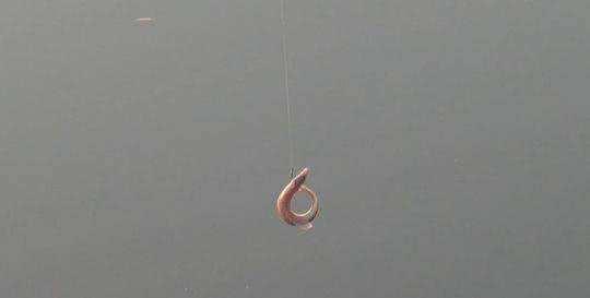 「」为何“泥鳅党”不受钓鱼人的待见！