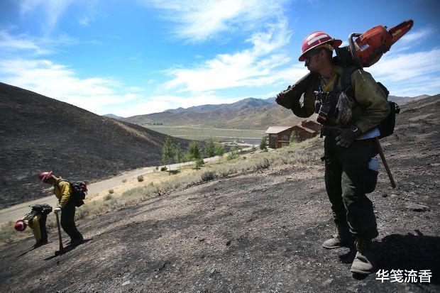 蟒蛇|人在野外，突然遭遇大型蛇类，该怎么办？
