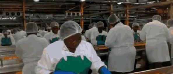 菠菜|中国人拿来“喂猪”的食材,起了个“洋名字”出口美国,遭人抢购