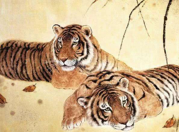 生肖▲如果你爱的人是62年,74年,86年出生的属虎人,再忙也要瞧一眼