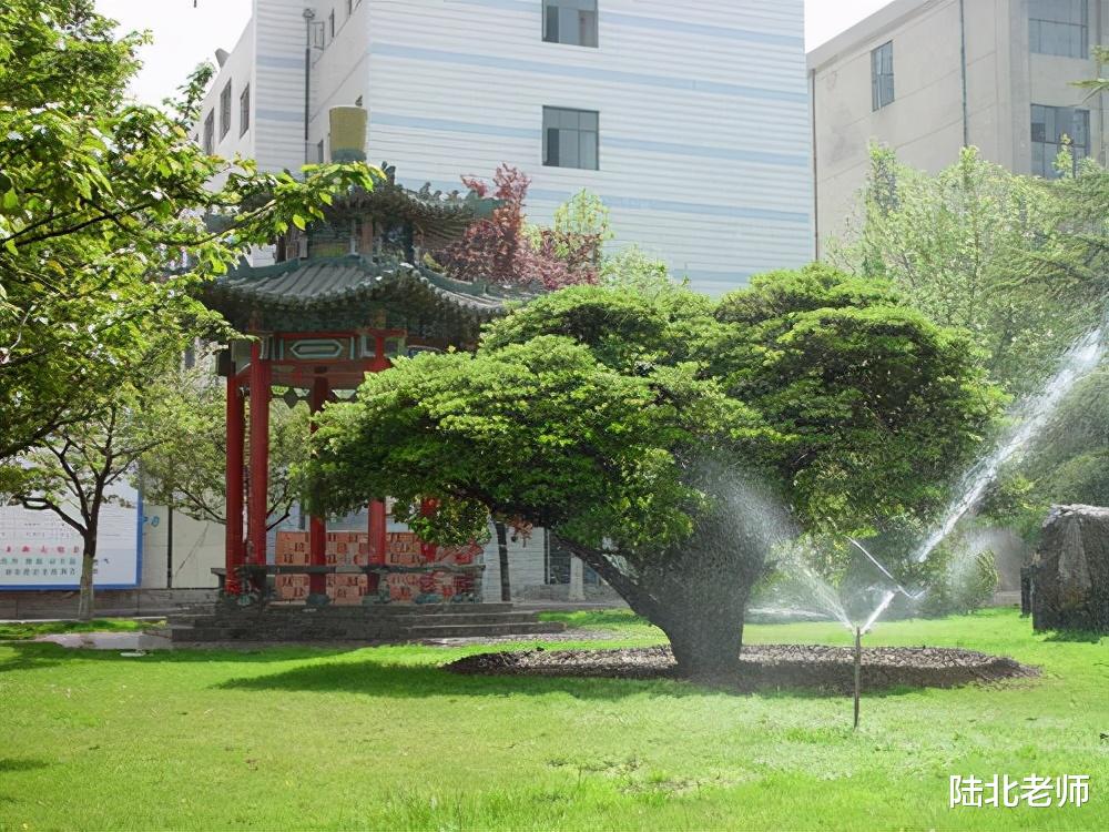 高校|大学录取分数排名，热门前20几乎都在一线城市，三所大学异军突起