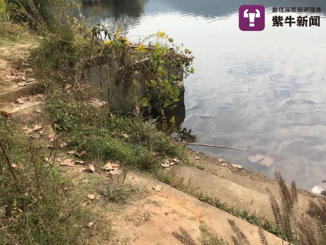 紫牛新闻|【紫牛头条】疑似被推下水溺亡女子的女儿发声：妈妈和她不是闺蜜