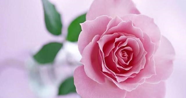 白羊座@三月底桃花运逆转，3星座不再苦苦坚持，放下旧爱开启新生活