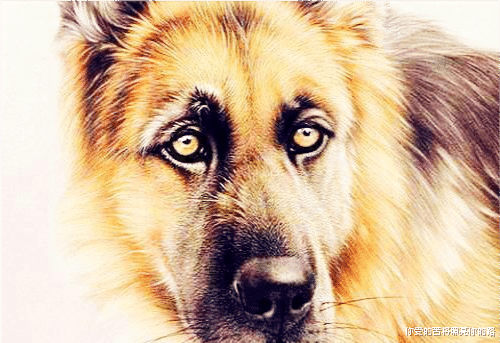 生肖|8月28日起,福星高照,贵人相助,“横财如下雨”的3个生肖