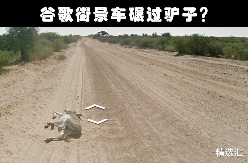 谷歌地球|在谷歌地图上，被人们发现的9种可疑的奇特生物