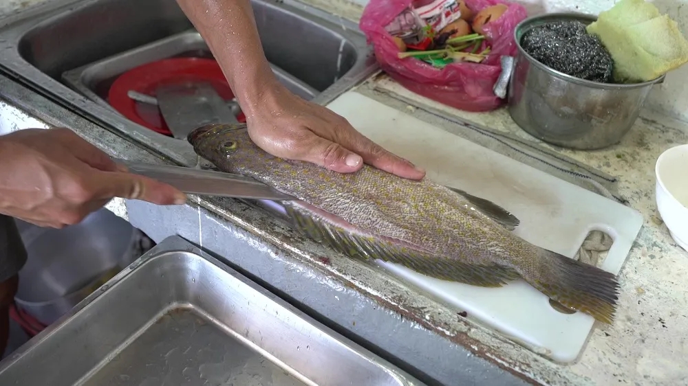 「万州」3天2晚沙巴海钓,吃住全在船上,大鱼接连上钩,过足钓鱼瘾