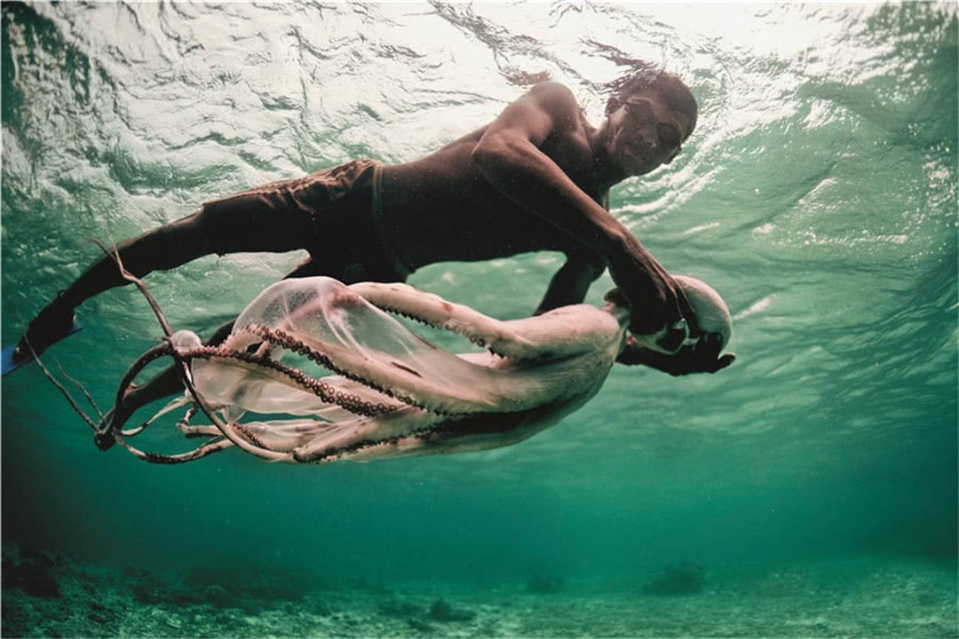 国籍|长期生活在海洋的巴瑶族，自幼刺破耳膜，未来会进化成鱼类生物吗