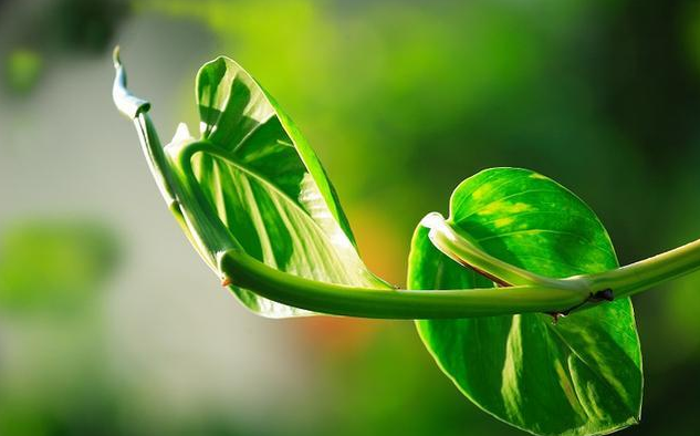 科学家@全球第一个“永生人”已经诞生!人类的长生不老之路还有多远?