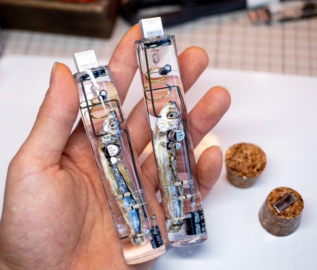 日本推出“鱼脑U盘”，称存储容量有32G，网友：只能存7秒？