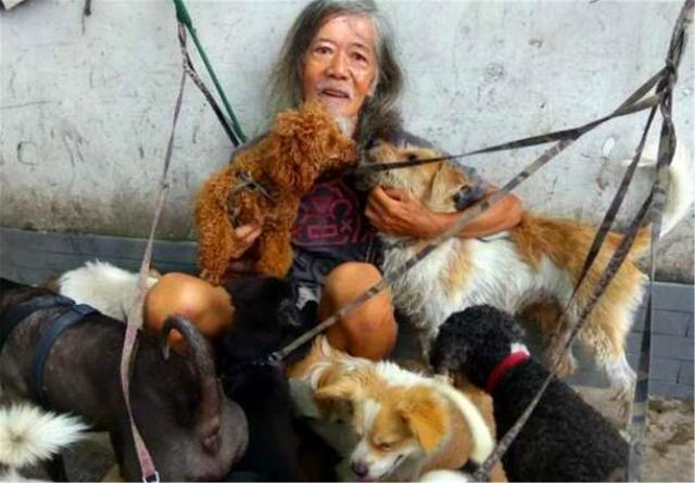 晓君侃史|香港富二代继承5000万遗产，却挥霍一空，如今街头拾荒与狗为伴