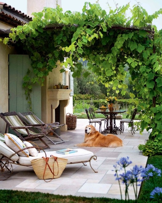 ##17个“花园小院”设计，久居都市，寻一方庭院和花草为伴，乐哉！